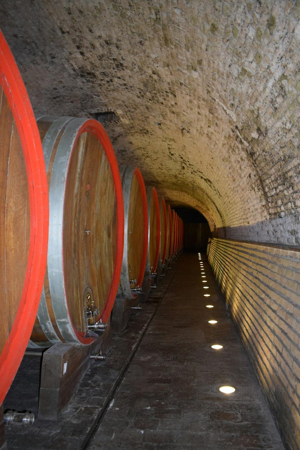 Wine Cellar